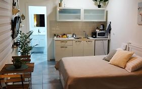 דקל דום בערבה